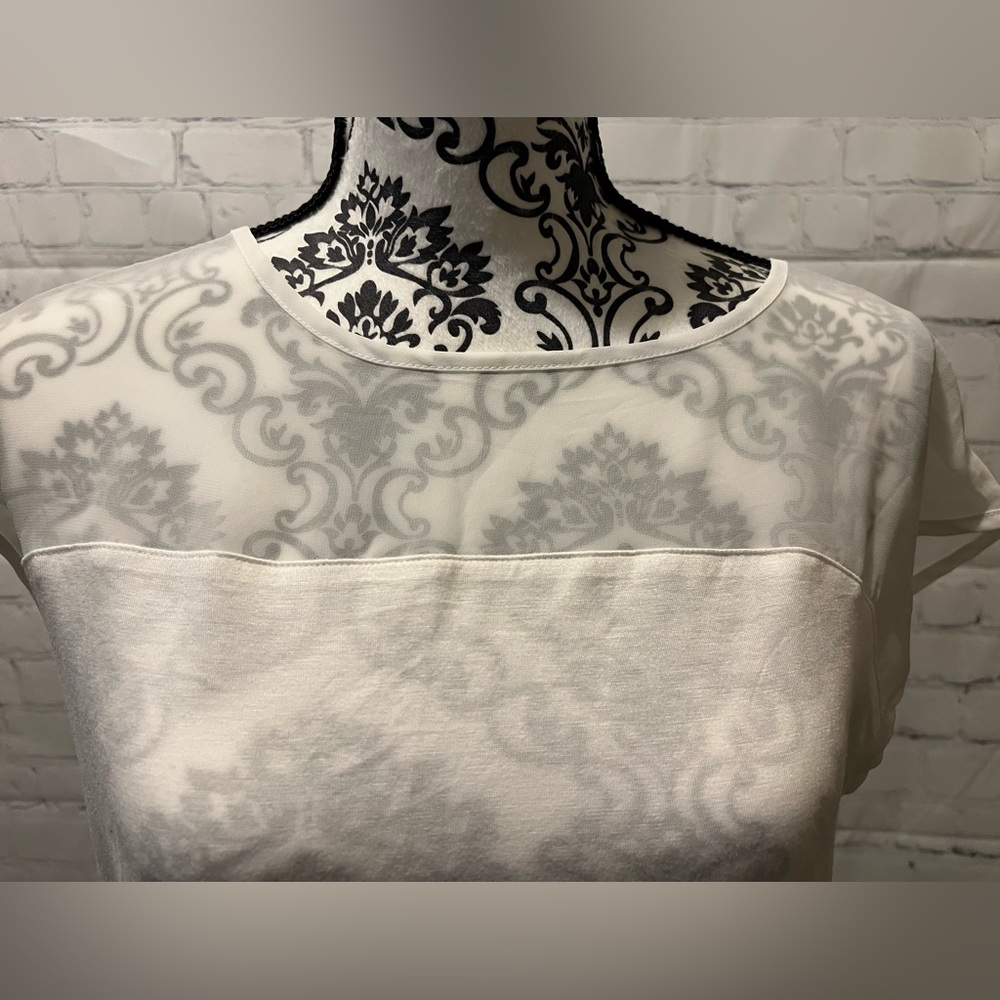 The Limited Top Sheer Upper